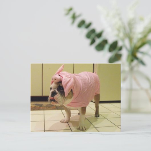 snufkostuum briefkaart (Staand voorkant)