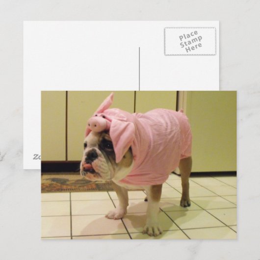 snufkostuum briefkaart (Voorkant / Achterkant)