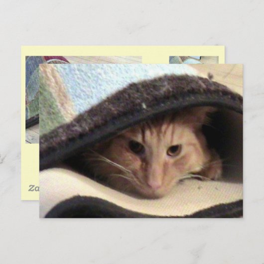 Snug als Briefkaart (Voorkant / Achterkant)