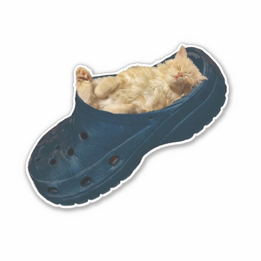 Snug as a Bug: De Croc Nap van de Kitten Sticker (Voorkant)