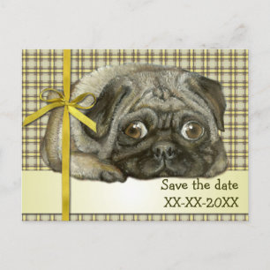 Snug pug aankondigingskaart