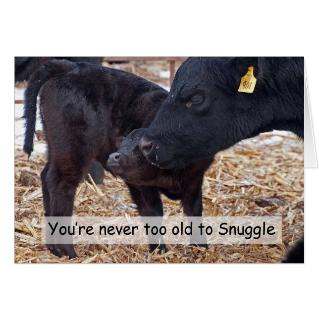 Snuggable koeien (Voorkant Horizontaal)