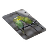 Snuggable paar boedgies magneet (Rechterzijde)