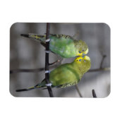 Snuggable paar boedgies magneet (Horizontaal)