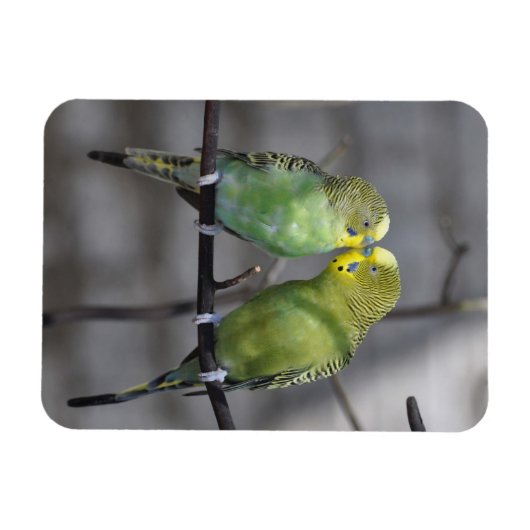 Snuggable paar boedgies magneet (Horizontaal)