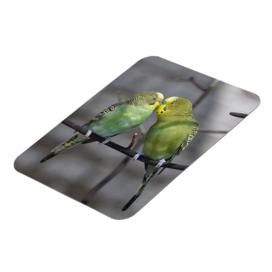 Snuggable paar boedgies magneet (Linkerzijde)