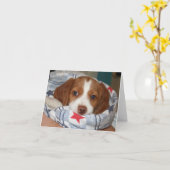 Snuggle Brittany Puppy Notecard Kaart (Gele Bloem)