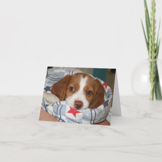 Snuggle Brittany Puppy Notecard Kaart (Voorkant)