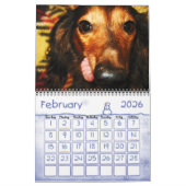 Snuggle Bugs Mackenzie Agenda Kalender (Feb 2026)
