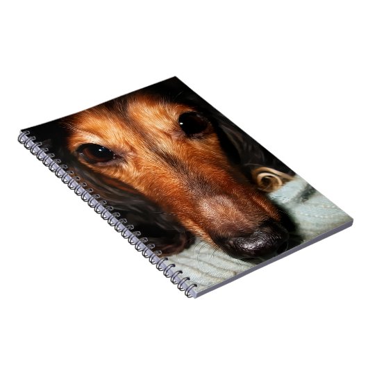 Snuggle Bugs MacKenzie Notitieboek (Rechterzijde)