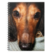 Snuggle Bugs MacKenzie Notitieboek (Voorkant)