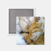 Snuggle kittens magneet (Voorkant / Achterkant)