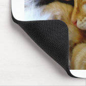 Snuggle Kittens Mousepad Muismat (Hoek)