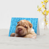 Snuggle Me Greeting Card Kaart (Gele Bloem)