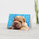 Snuggle Me Greeting Card Kaart (Voorkant)