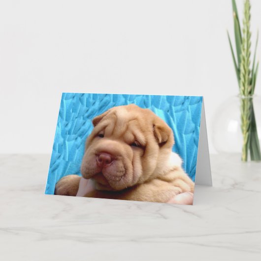 Snuggle Me Greeting Card Kaart (Voorkant)