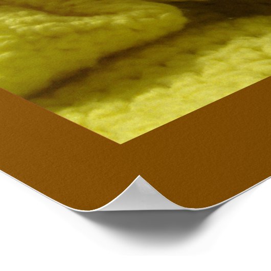 Snuggled Chihuahua Puppy Poster (Hoek)