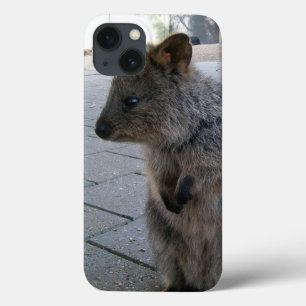 Snuggles in Australië: een knuffelgrijze quokka Case-Mate iPhone Case