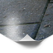 Snuggles in Australië: een knuffelgrijze quokka Foto Afdruk (Hoek)