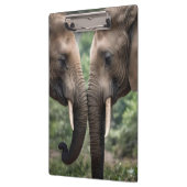 "Snuits tot Snuits: Een Zachte Olifant Omhelzing"  Klembord (Links)