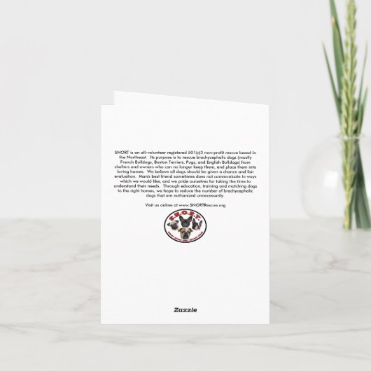 SNURK 2015 Kerstkaarten Feestdagen Kaart (Achterkant)