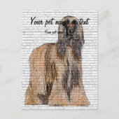 So Beautiful, Afghan Hound Dog Briefkaart (Voorkant)
