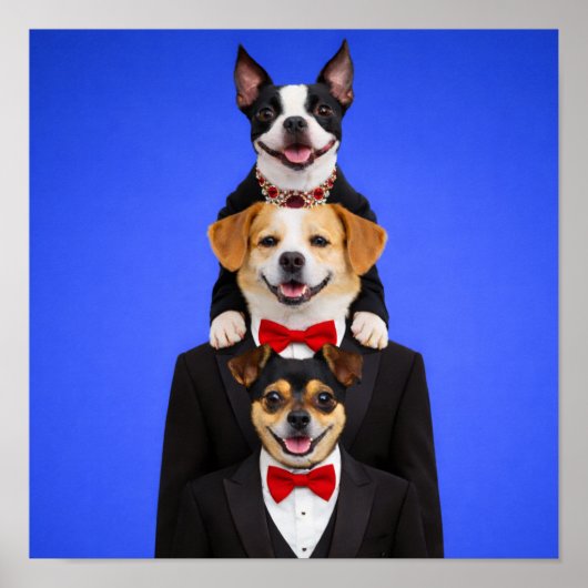 "So Happy Together" Poster (Voorkant)