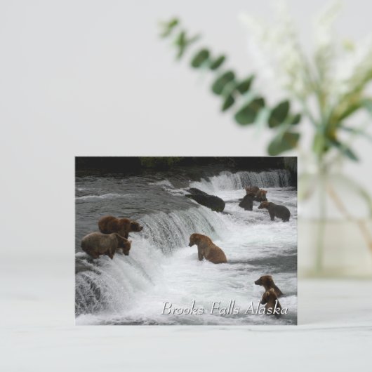 So many bears, Brooks Falls Alaska  Briefkaart (Staand voorkant)