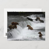 So many bears, Brooks Falls Alaska  Briefkaart (Voorkant / Achterkant)