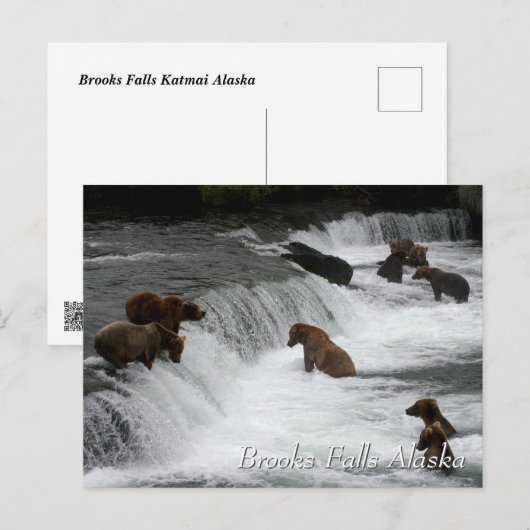 So many bears, Brooks Falls Alaska  Briefkaart (Voorkant / Achterkant)