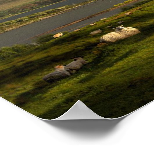 So much Ireland Poster (Hoek)