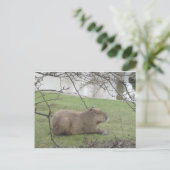 So süß der Riesennnager Briefkaart (Staand voorkant)