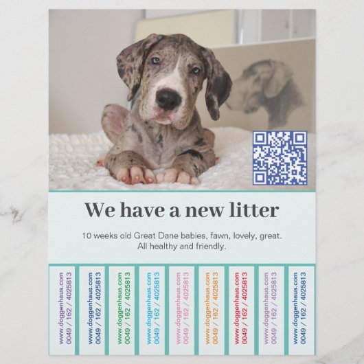 So verkaufen Sie Dane Welpen farbigen Flyer (Voorkant)