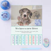 So verkaufen Sie Dane Welpen farbigen Flyer (Enkel)