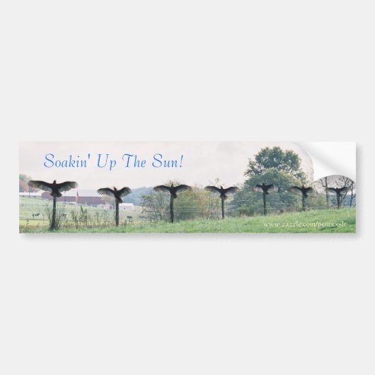 Soakin' up the Sun-Bumpersticker Bumpersticker (Voorkant)