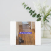 Soap Opera Cats Briefkaart (Staand voorkant)
