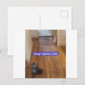 Soap Opera Cats Briefkaart (Voorkant / Achterkant)