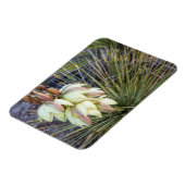 Soaptree Yucca Flowers in the Upper Missouri Magneet (Linkerzijde)