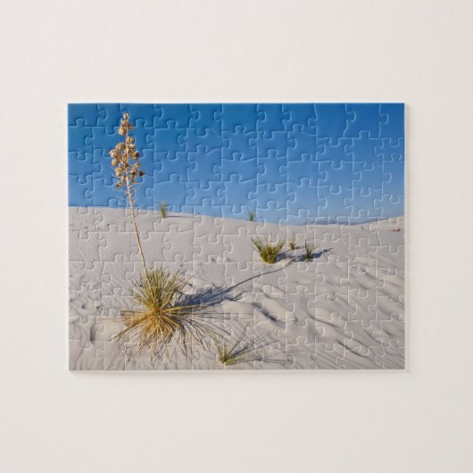 Soaptree Yucca, lange schaduw, transversale duinen Legpuzzel (Horizontaal)