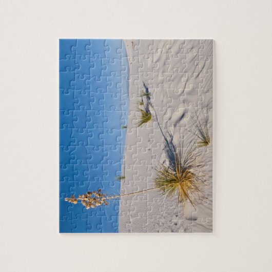 Soaptree Yucca, long Shadow, Transverse Dunes Legpuzzel (Verticaal)