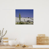 Soapweed Yucca Poster (Keuken)