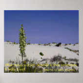 Soapweed Yucca Poster (Voorkant)