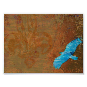 Soar Grunge Foto Afdruk