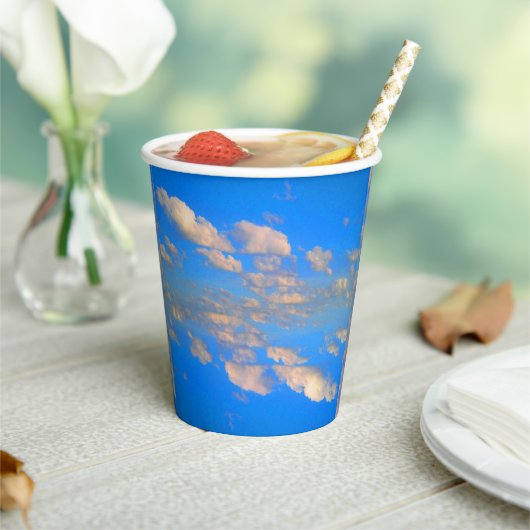 Soar, voor meer papieren bekers (Insitu)