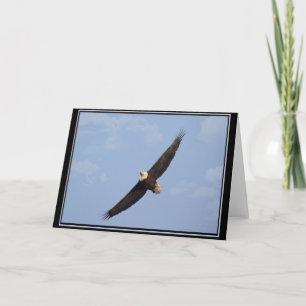 Soaring Bald Eagle BLANK kaart