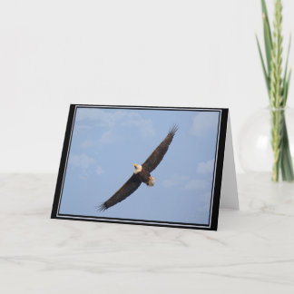 Soaring Bald Eagle BLANK kaart