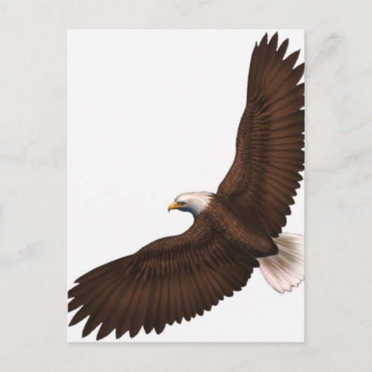 Soaring Bald Eagle Briefkaart (Voorkant)
