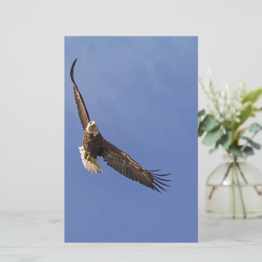 Soaring Bald Eagle Briefpapier (Staand voorkant)
