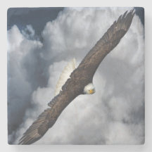Soaring Bald Eagle en Cloudy Sky