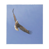 Soaring Bald Eagle Notitieblok (Voorkant)